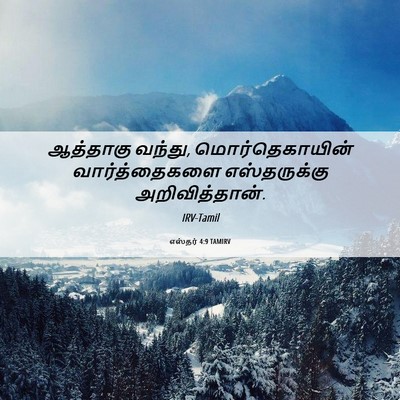 Picture 06 - எஸ்தர் 4:9 TAMIRV - ஆத்தாகு வந்து, - Bible Verse Picture