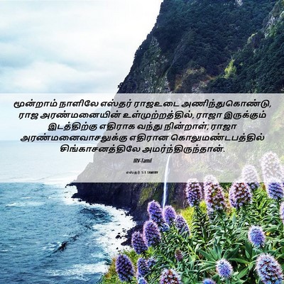 Picture 06 - எஸ்தர் 5:1 TAMIRV - மூன்றாம் நாளிலே - Bible Verse Picture