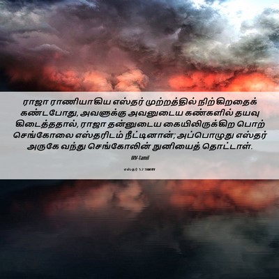 Picture 06 - எஸ்தர் 5:2 TAMIRV - ராஜா ராணியாகிய - Bible Verse Picture