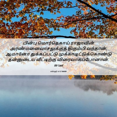 Picture 06 - எஸ்தர் 6:12 TAMIRV - பின்பு மொர்தெகாய் - Bible Verse Picture
