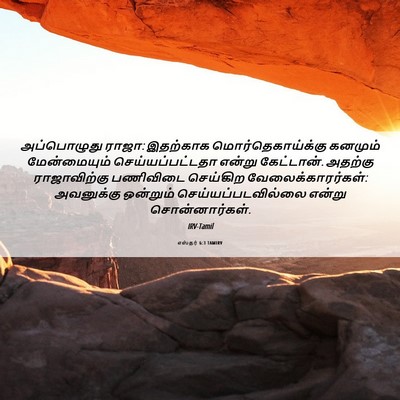 Picture 06 - எஸ்தர் 6:3 TAMIRV - அப்பொழுது ராஜா: - Bible Verse Picture
