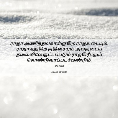 Picture 06 - எஸ்தர் 6:8 TAMIRV - ராஜா - Bible Verse Picture