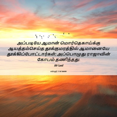 Picture 06 - எஸ்தர் 7:10 TAMIRV - அப்படியே ஆமான் - Bible Verse Picture