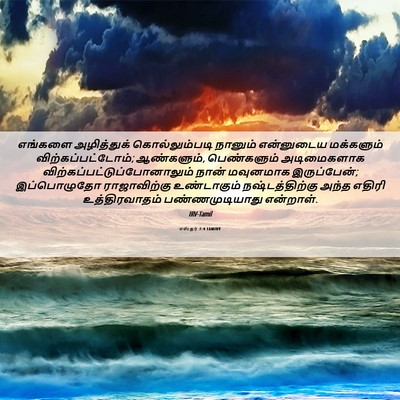 Picture 06 - எஸ்தர் 7:4 TAMIRV - எங்களை அழித்துக் - Bible Verse Picture