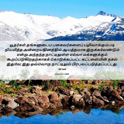 Picture 06 - எஸ்தர் 8:13 TAMIRV - யூதர்கள் - Bible Verse Picture