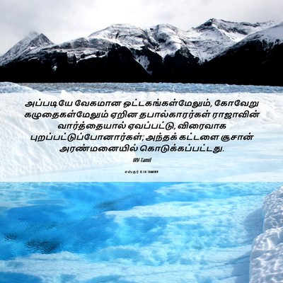 Picture 06 - எஸ்தர் 8:14 TAMIRV - அப்படியே வேகமான - Bible Verse Picture