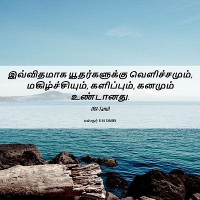Picture 06 - எஸ்தர் 8:16 TAMIRV - இவ்விதமாக - Bible Verse Picture