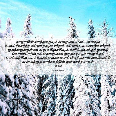 Picture 06 - எஸ்தர் 8:17 TAMIRV - ராஜாவின் - Bible Verse Picture