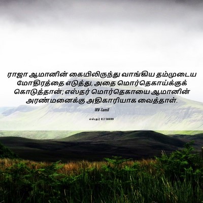 Picture 06 - எஸ்தர் 8:2 TAMIRV - ராஜா ஆமானின் - Bible Verse Picture
