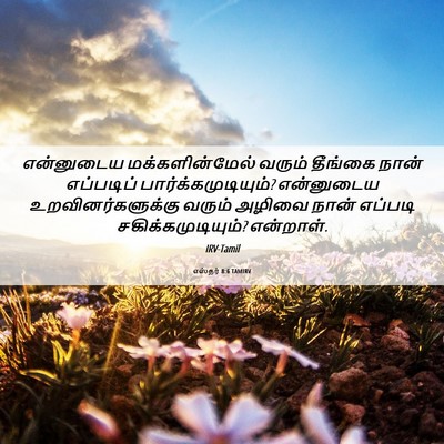 Picture 06 - எஸ்தர் 8:6 TAMIRV - என்னுடைய - Bible Verse Picture