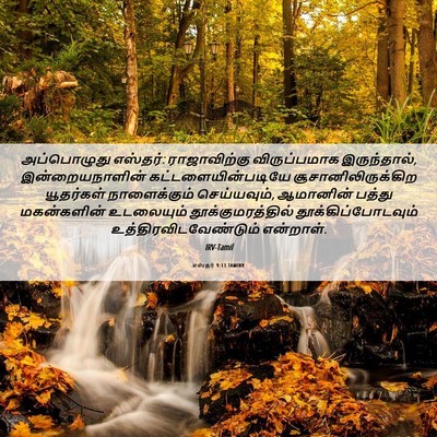 Picture 06 - எஸ்தர் 9:13 TAMIRV - அப்பொழுது எஸ்தர்: - Bible Verse Picture