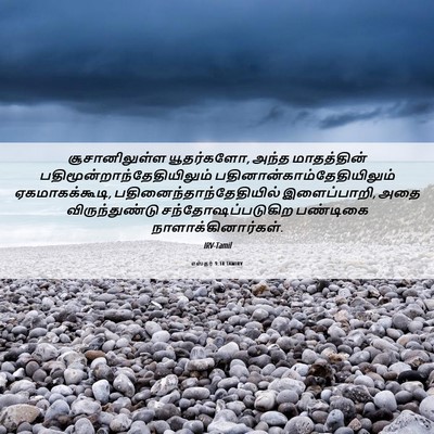 Picture 06 - எஸ்தர் 9:18 TAMIRV - சூசானிலுள்ள - Bible Verse Picture