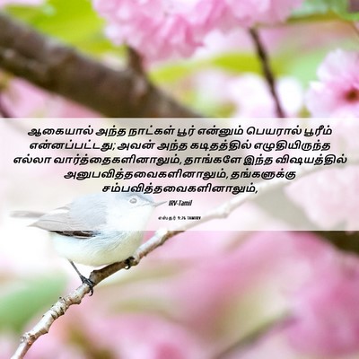 Picture 06 - எஸ்தர் 9:26 TAMIRV - ஆகையால் அந்த - Bible Verse Picture