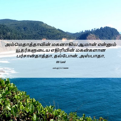 Picture 06 - எஸ்தர் 9:7 TAMIRV - அம்மெதாத்தாவின் - Bible Verse Picture