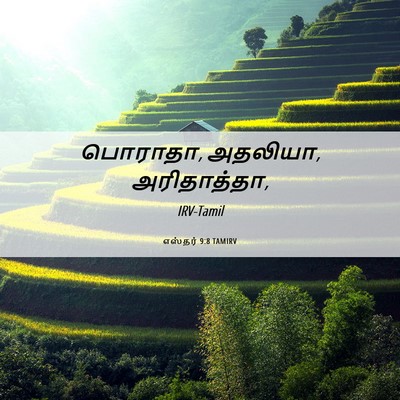 Picture 06 - எஸ்தர் 9:8 TAMIRV - பொராதா, அதலியா, - Bible Verse Picture