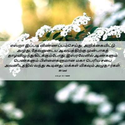 Picture 06 - எஸ்றா 10:1 TAMIRV - எஸ்றா இப்படி - Bible Verse Picture
