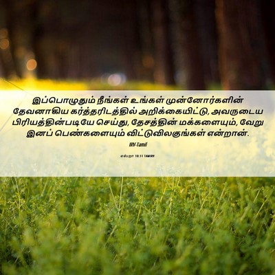 Picture 06 - எஸ்றா 10:11 TAMIRV - இப்பொழுதும் - Bible Verse Picture