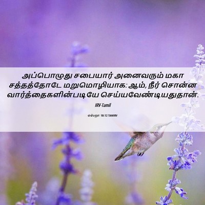 Picture 06 - எஸ்றா 10:12 TAMIRV - அப்பொழுது சபையார் - Bible Verse Picture