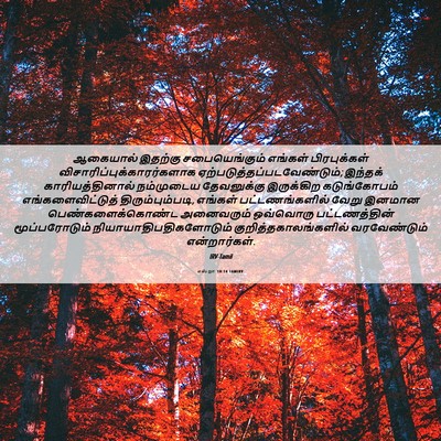 Picture 06 - எஸ்றா 10:14 TAMIRV - ஆகையால் இதற்கு - Bible Verse Picture