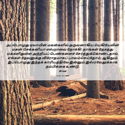 Picture 06 - எஸ்றா 10:2 TAMIRV - அப்பொழுது ஏலாமின் - Bible Verse Picture