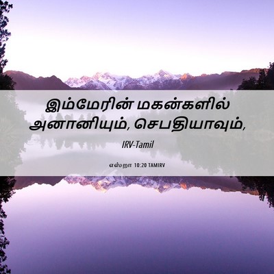 Picture 06 - எஸ்றா 10:20 TAMIRV - இம்மேரின் - Bible Verse Picture