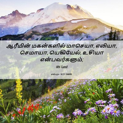 Picture 06 - எஸ்றா 10:21 TAMIRV - ஆரீமின் மகன்களில் - Bible Verse Picture