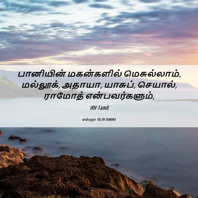 Picture 06 - எஸ்றா 10:29 TAMIRV - பானியின் - Bible Verse Picture
