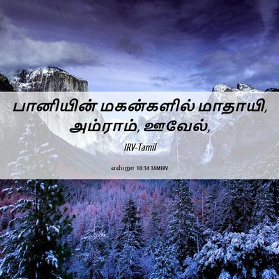 Picture 06 - எஸ்றா 10:34 TAMIRV - பானியின் - Bible Verse Picture