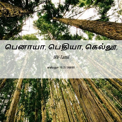 Picture 06 - எஸ்றா 10:35 TAMIRV - பெனாயா, பெதியா, - Bible Verse Picture
