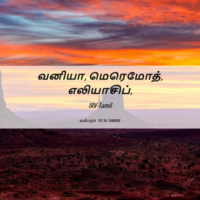 Picture 06 - எஸ்றா 10:36 TAMIRV - வனியா, மெரெமோத், - Bible Verse Picture