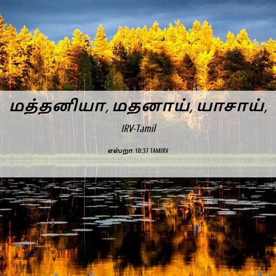 Picture 06 - எஸ்றா 10:37 TAMIRV - மத்தனியா, மதனாய், - Bible Verse Picture
