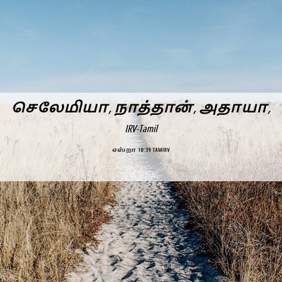 Picture 06 - எஸ்றா 10:39 TAMIRV - செலேமியா, - Bible Verse Picture