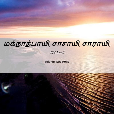 Picture 06 - எஸ்றா 10:40 TAMIRV - மக்நாத்பாயி, - Bible Verse Picture