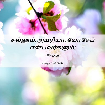 Picture 06 - எஸ்றா 10:42 TAMIRV - சல்லூம், அமரியா, - Bible Verse Picture