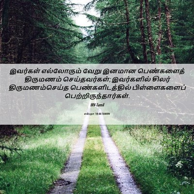 Picture 06 - எஸ்றா 10:44 TAMIRV - இவர்கள் எல்லோரும் - Bible Verse Picture