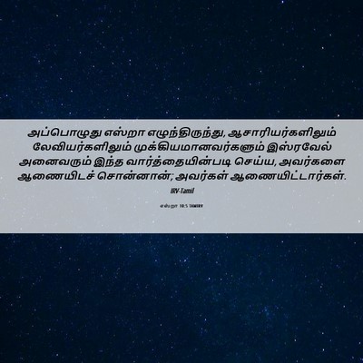 Picture 06 - எஸ்றா 10:5 TAMIRV - அப்பொழுது எஸ்றா - Bible Verse Picture