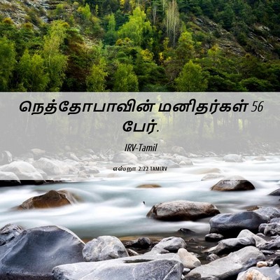 Picture 06 - எஸ்றா 2:22 TAMIRV - நெத்தோபாவின் - Bible Verse Picture