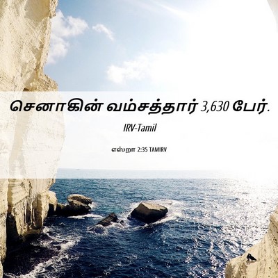 Picture 06 - எஸ்றா 2:35 TAMIRV - செனாகின் - Bible Verse Picture