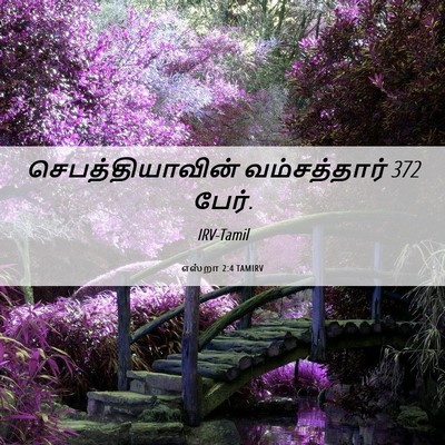 Picture 06 - எஸ்றா 2:4 TAMIRV - செபத்தியாவின் - Bible Verse Picture