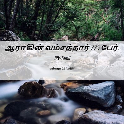 Picture 06 - எஸ்றா 2:5 TAMIRV - ஆராகின் - Bible Verse Picture
