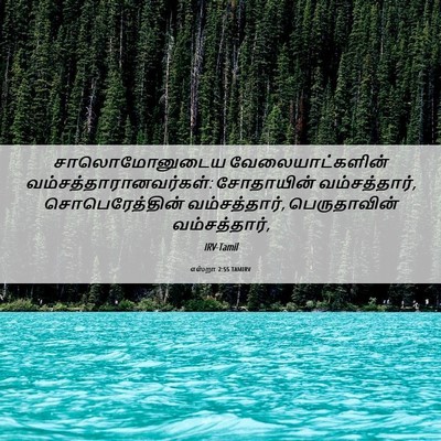 Picture 06 - எஸ்றா 2:55 TAMIRV - சாலொமோனுடைய - Bible Verse Picture