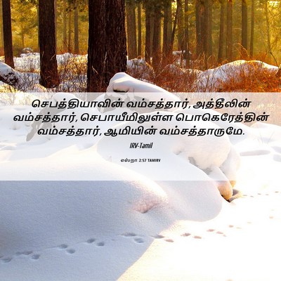 Picture 06 - எஸ்றா 2:57 TAMIRV - செபத்தியாவின் - Bible Verse Picture
