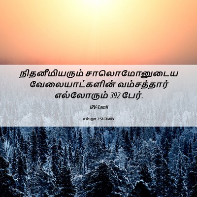 Picture 06 - எஸ்றா 2:58 TAMIRV - நிதனீமியரும் - Bible Verse Picture