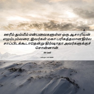 Picture 06 - எஸ்றா 2:63 TAMIRV - ஊரீம் தும்மீம் - Bible Verse Picture