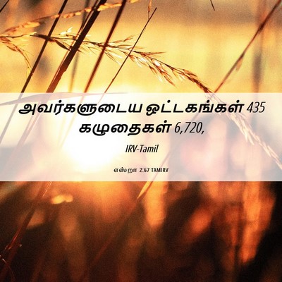 Picture 06 - எஸ்றா 2:67 TAMIRV - அவர்களுடைய - Bible Verse Picture