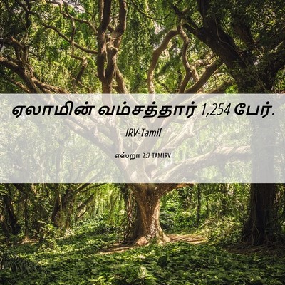 Picture 06 - எஸ்றா 2:7 TAMIRV - ஏலாமின் - Bible Verse Picture