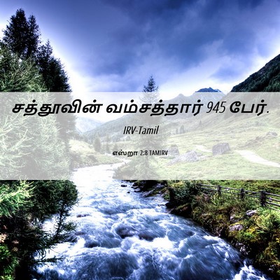 Picture 06 - எஸ்றா 2:8 TAMIRV - சத்தூவின் - Bible Verse Picture