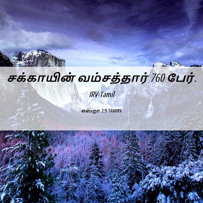 Picture 06 - எஸ்றா 2:9 TAMIRV - சக்காயின் - Bible Verse Picture