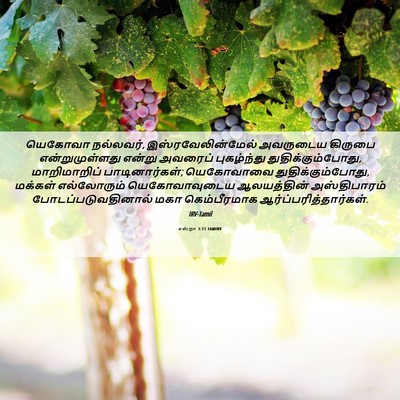 Picture 06 - எஸ்றா 3:11 TAMIRV - யெகோவா நல்லவர், - Bible Verse Picture