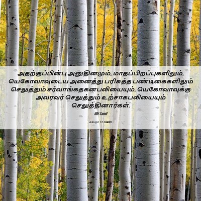 Picture 06 - எஸ்றா 3:5 TAMIRV - அதற்குப்பின்பு - Bible Verse Picture